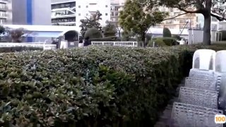 欧美国产青春校园_欧美亚洲精品成人视频